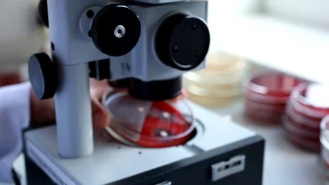 Medical Laboratory Stock Footage 76474282