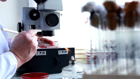 Medical Laboratory Stock Footage 76474306