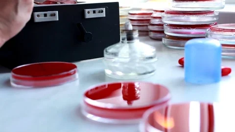 Medical Laboratory Stock Footage 76474363