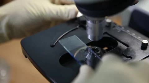 Medical Laboratory microscope 動画素材 54274129
