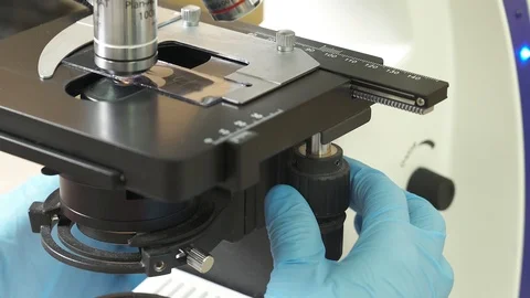 Medical laboratory, scientists hands using microscope for testing biological Stock Footage 108453384