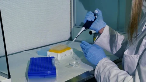 Medical Laboratory Technician Using Autoclavable Pipette To Transfer Liquid Stock Footage 104249462