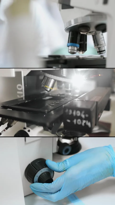 A medical laboratory worker turns the microscope adjustment mechanism. Stock Footage 314339477