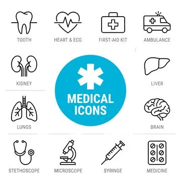 Medical line icon set featuring tooth, heart, kidney, lungs, brain, stethos.. Stock Illustration