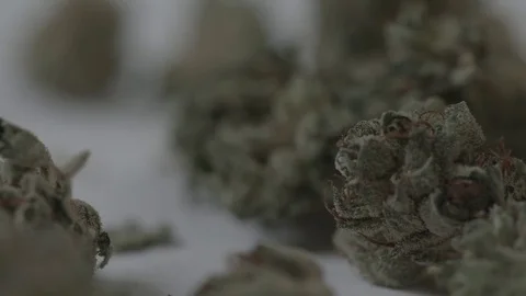 Medical Marijuana Close up  Vídeo Stock 79452607