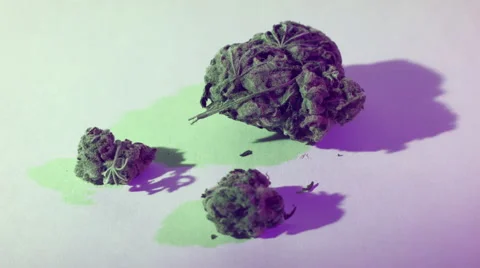 Medical marijuana Video stock 50816092