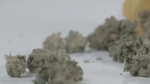 Medical Marijuana  Vídeo Stock 79449569