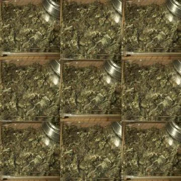 Medical marijuana Stock Illustration