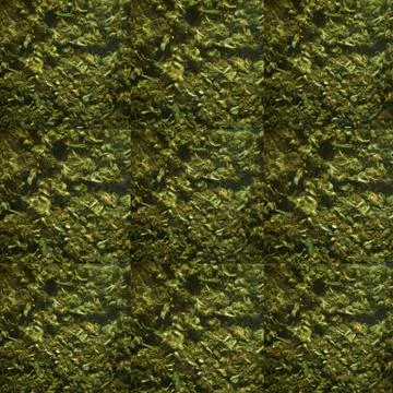 Medical marijuana Stock Illustration