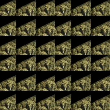 Medical marijuana Stock Illustration