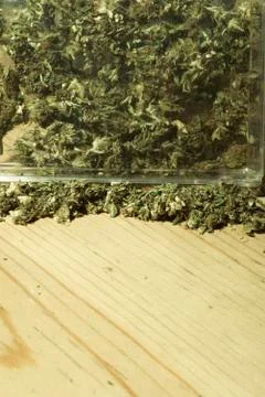 Medical marijuana Stock Photos