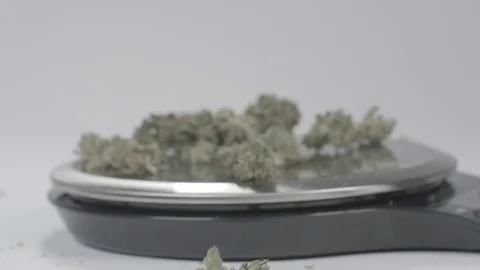 Medical Marijuana Scale Vídeo Stock 79453137