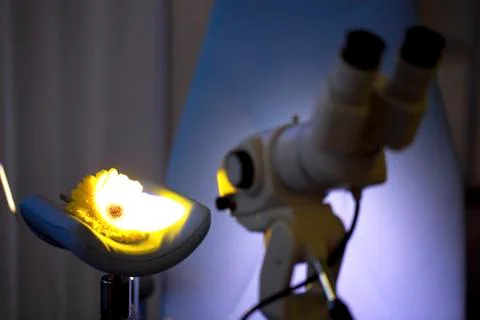 Medical microscope Stock Photos