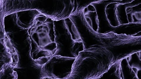 Medical Microscopic Tissue Stock Footage 63043481