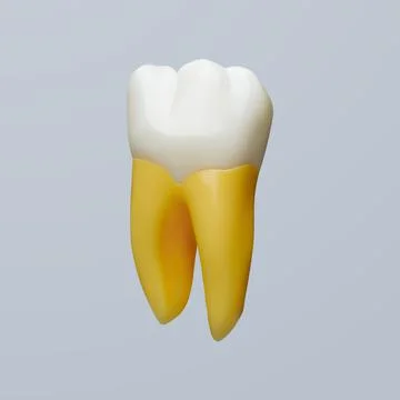 Medical model of a tooth with an isolated root on a neutral background Stock Illustration
