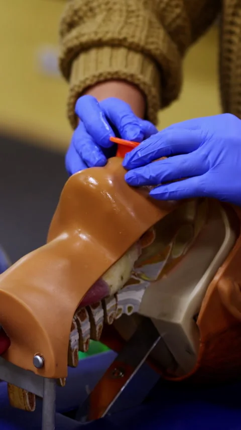 Medical practice on a dummy head. Stock Footage 284417861