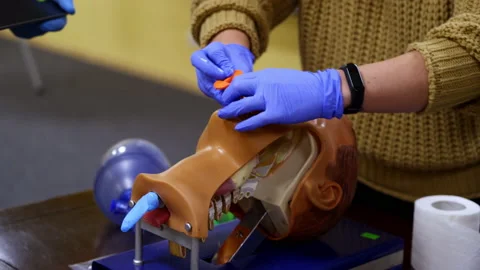 Medical practice on a dummy head. Student teaching medical techniques Stock Footage 149435653