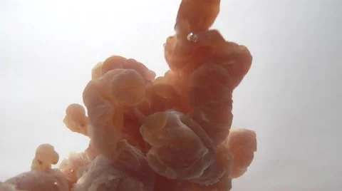 Medical research Stock Footage 1087442