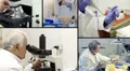 Medical Research HD Footage