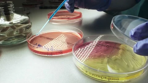 Medical research laboratory development Stock Footage 230099822