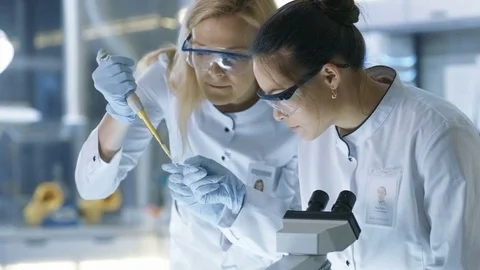 Medical Research Scientist Drops Sample on Slide and Her Colleague Examines it Video stock 77951064