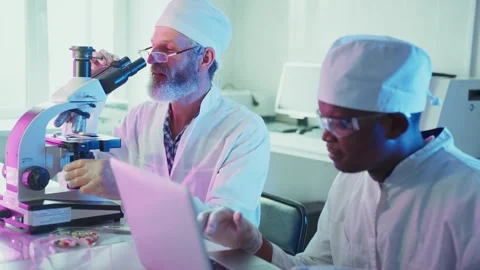 Medical research scientists analyzing samples in laboratory Видео 306584776