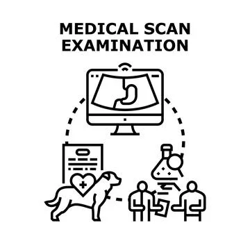 Medical scan examination process diagnostic healthcare concept Illustrazione stock