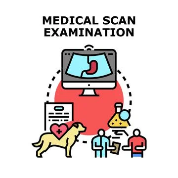 Medical scan examination process diagnostic healthcare concept 스톡 일러스트