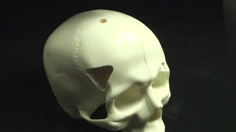 Medical scientists testing a tissue sample Stock Footage 49964502