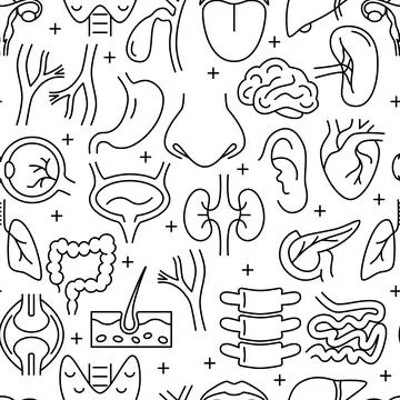 Medical seamless pattern with human internal organs symbols Illustrazione stock