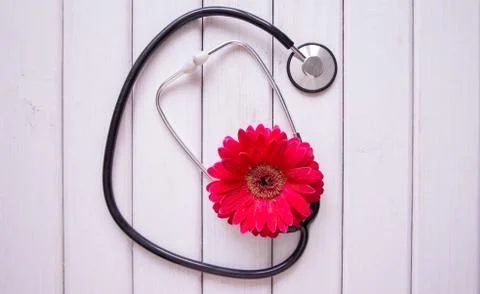Medical stethoscope with flower on light wooden background Stock Photos