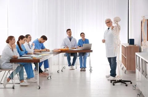Medical students and professor studying human skeleton anatomy in classroom Stock Photos