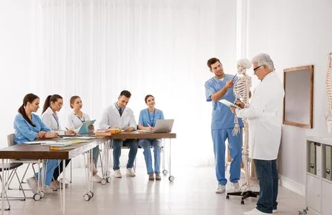Medical students and professor studying human skeleton anatomy in classroom Stock Photos