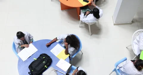 Medical Students In the Collage Stock Footage 339047174