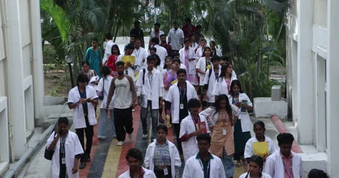 Medical Students In the Collage Stock Footage 339047202