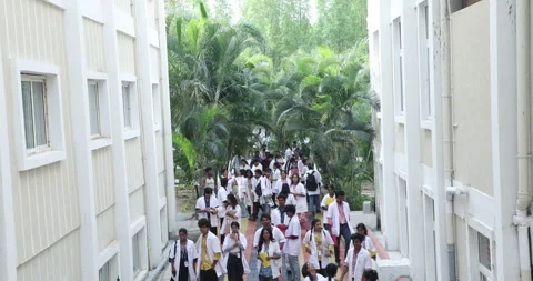 Medical Students In the Collage Stock Footage 339047218