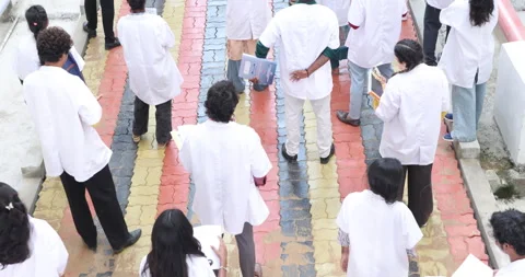 Medical Students In the Collage Stock Footage 339047229