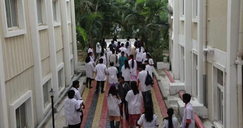 Medical Students In the Collage Stock Footage 339047264