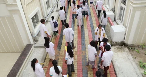 Medical Students In the Collage Stock Footage 339047266