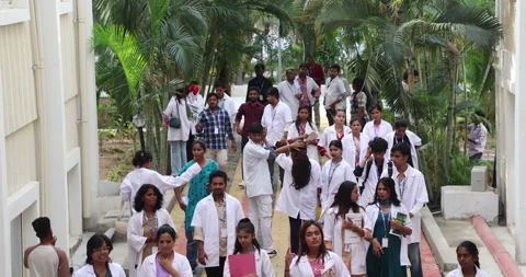 Medical Students In the Collage Stock Footage 339047310