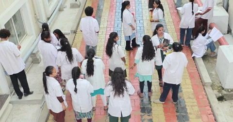 Medical Students In the Collage Stock Footage 339048113