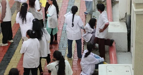 Medical Students In the Collage Stock Footage 339048134