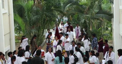 Medical Students In the Collage Stock Footage 339048202