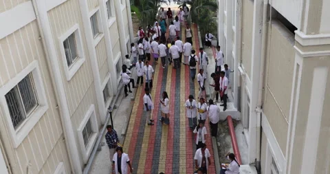 Medical Students In the Collage Stock Footage 339048216