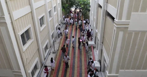 Medical Students In the Collage Stock Footage 339048245