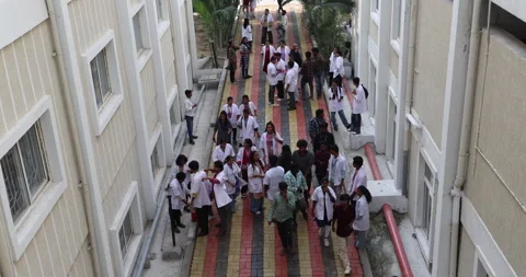 Medical Students In the Collage Stock Footage 339048508
