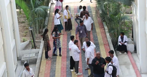 Medical Students In the Collage Stock Footage 339048514