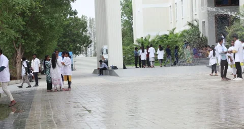Medical Students In the Collage Stock Footage 339050165