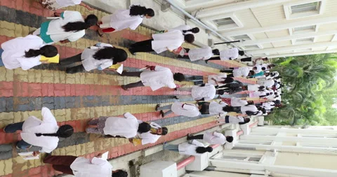 Medical Students In Lecture Hall Stock Footage 339047284