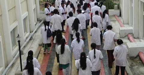 Medical Students In Lecture Hall Stock Footage 339047940